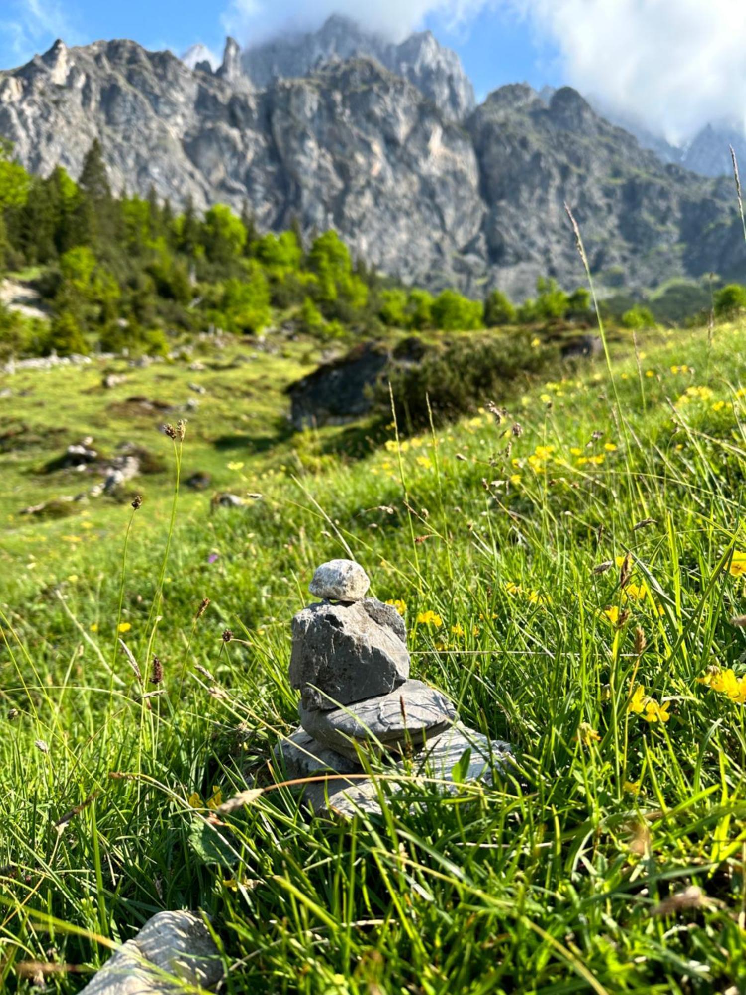 Apart Ursus Hinterthal Maria Alm am Steinernen Meer Exterior foto